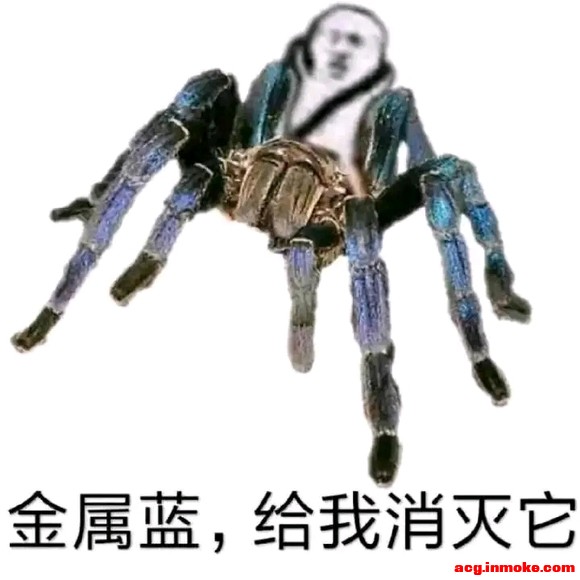 ȥչ·Ϸһֻôëë-1.jpg
