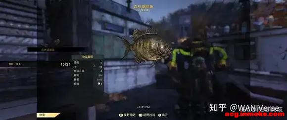 Fallout 76ȥҲϵʵװ-8.jpg