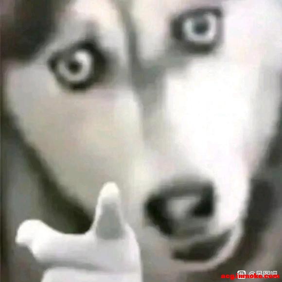 λűֽĵͼ-1.jpg