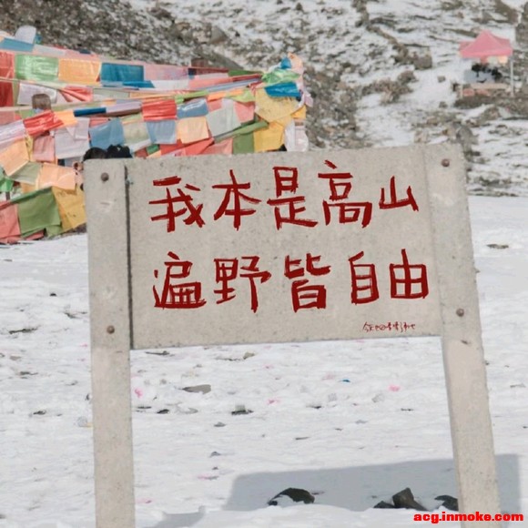 ,ѡֽ-1.jpg