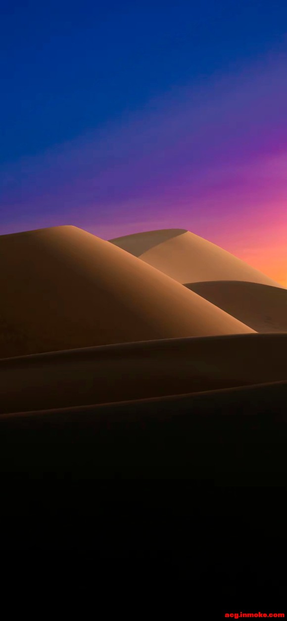ֽƼ:ɳĮɳ뽥ձֽ-3.jpg