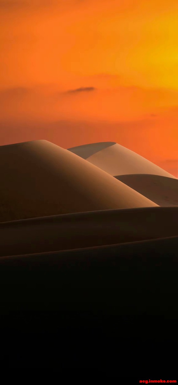 ֽƼ:ɳĮɳ뽥ձֽ-5.jpg