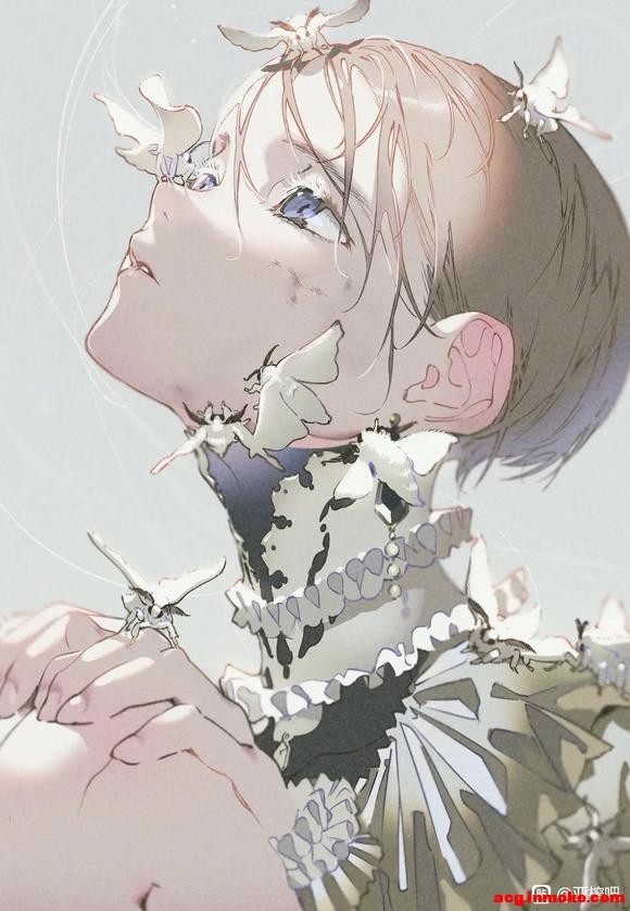 ÿձֽ-5.jpg