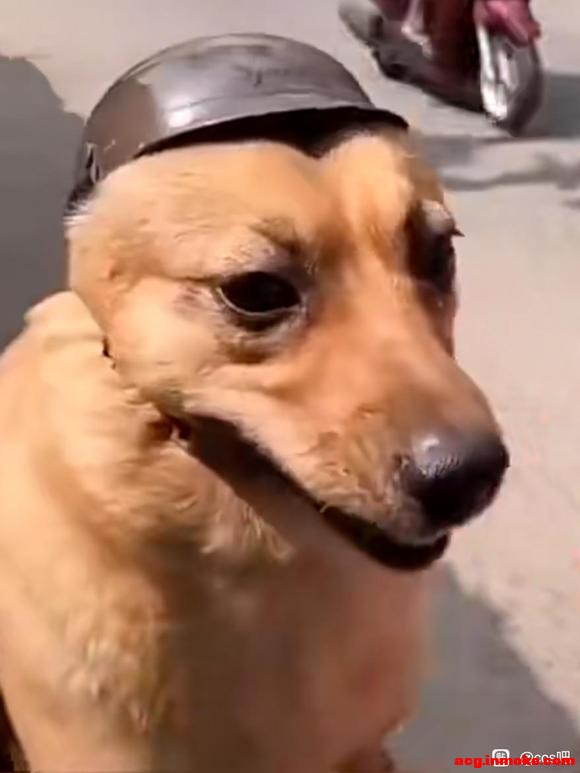 ȫصչչʱ-1.jpg