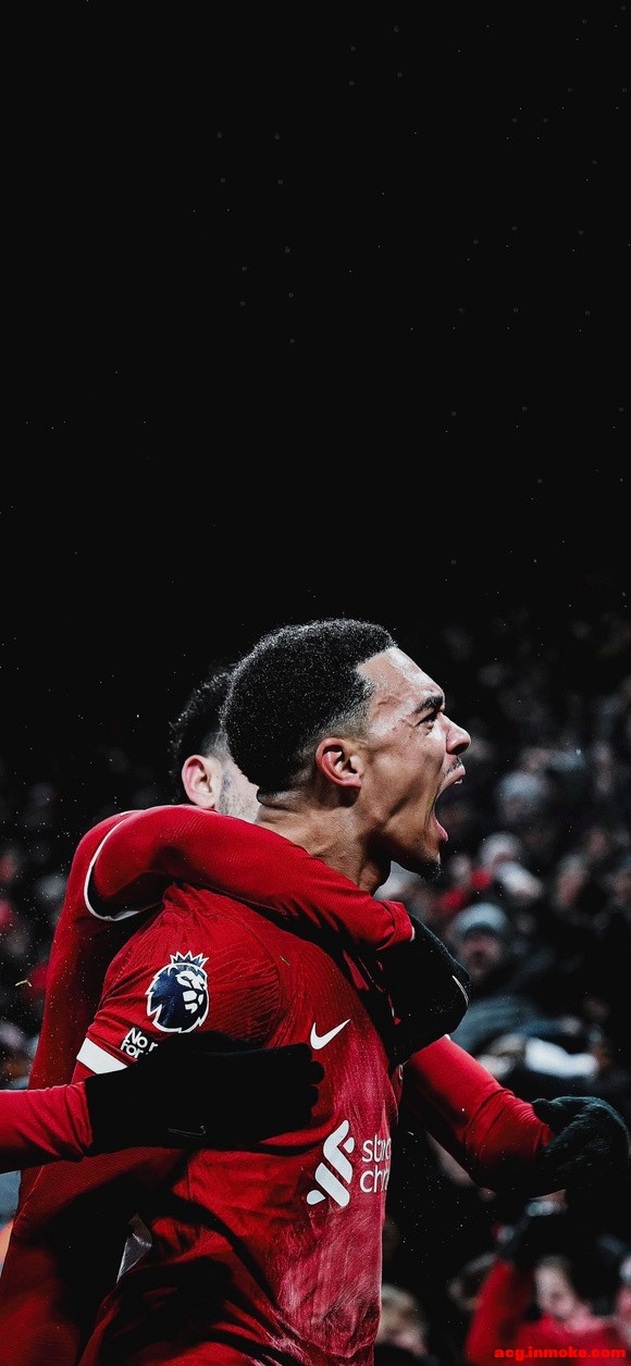 66TAA?ֽ+-1.jpg