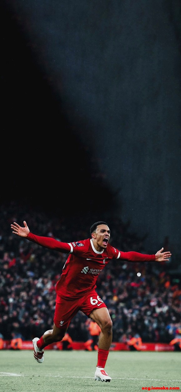 66TAA?ֽ+-2.jpg