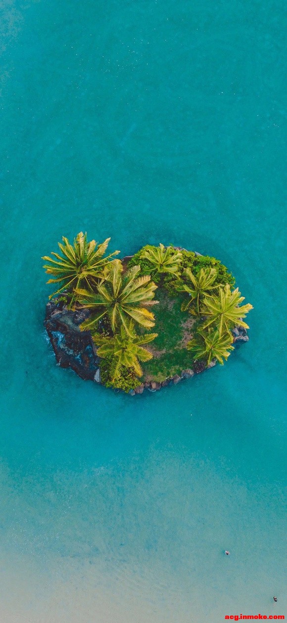 ֽ|ɫ-8.jpg