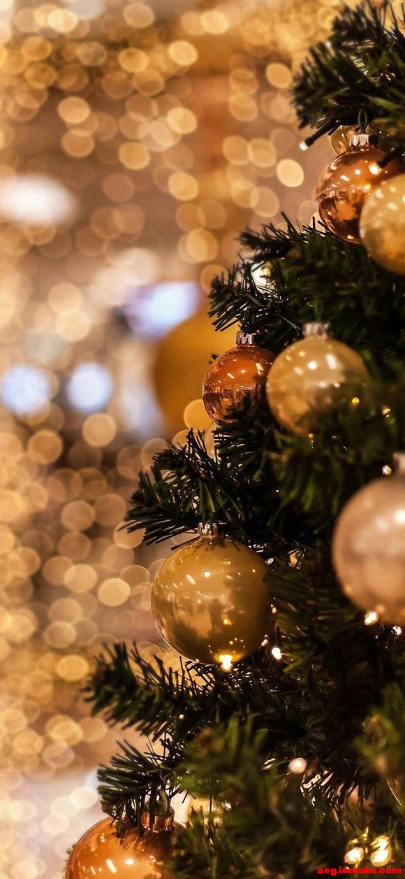 ֽ|Merry Christmas-2.jpg