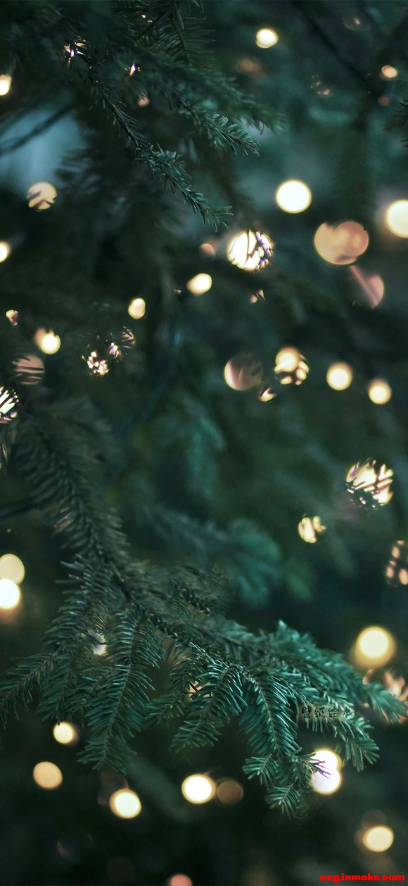 ֽ|Merry Christmas-7.jpg