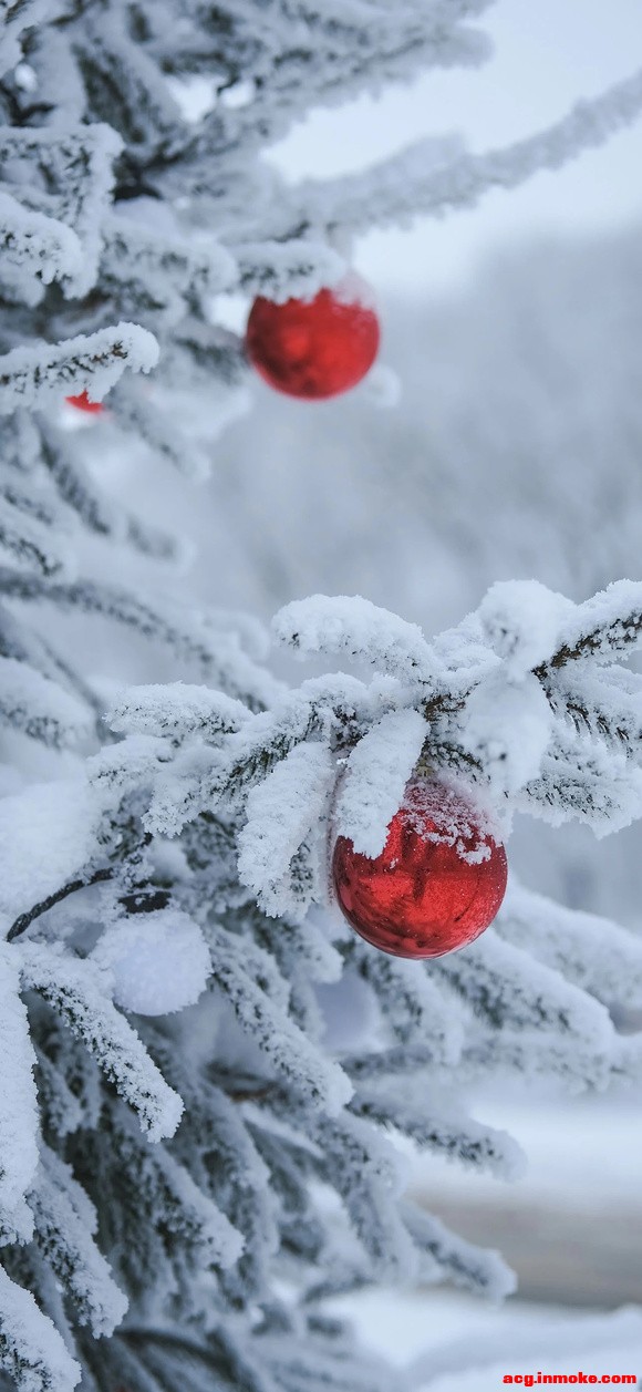 ֽ|Merry Christmas-9.jpg