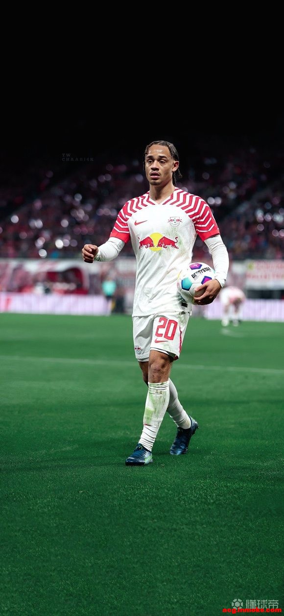 RB���������������� ��ά������˹ 4K��ֽ-3.jpg