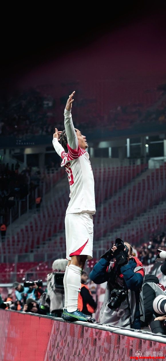 RB���������������� ��ά������˹ 4K��ֽ-2.jpg