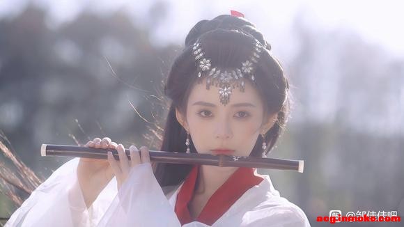 ���Ѽ��ձ���2025.4.4����384�ڣ�