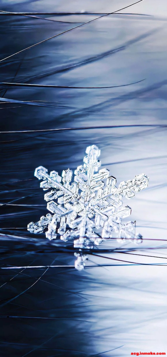 ����ֽ��ͻȻ| ��� |׃�� |���� ??.?.?-2.jpg