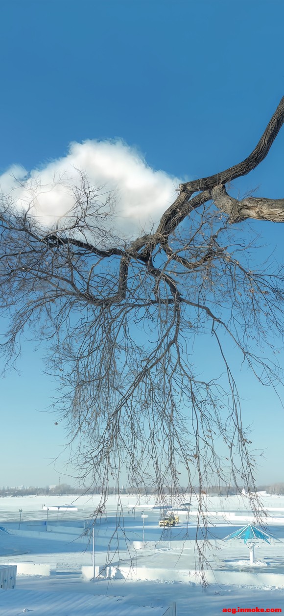 ����ֽ��ͻȻ| ��� |׃�� |���� ??.?.?