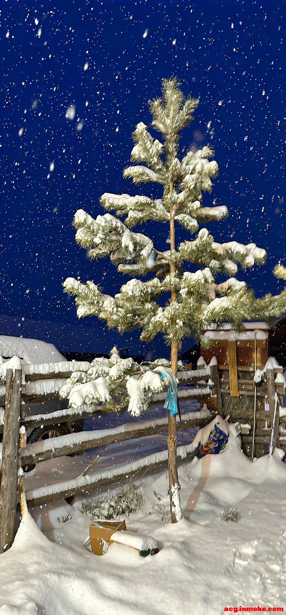 ����ֽ��ͻȻ| ��� |׃�� |���� ??.?.?