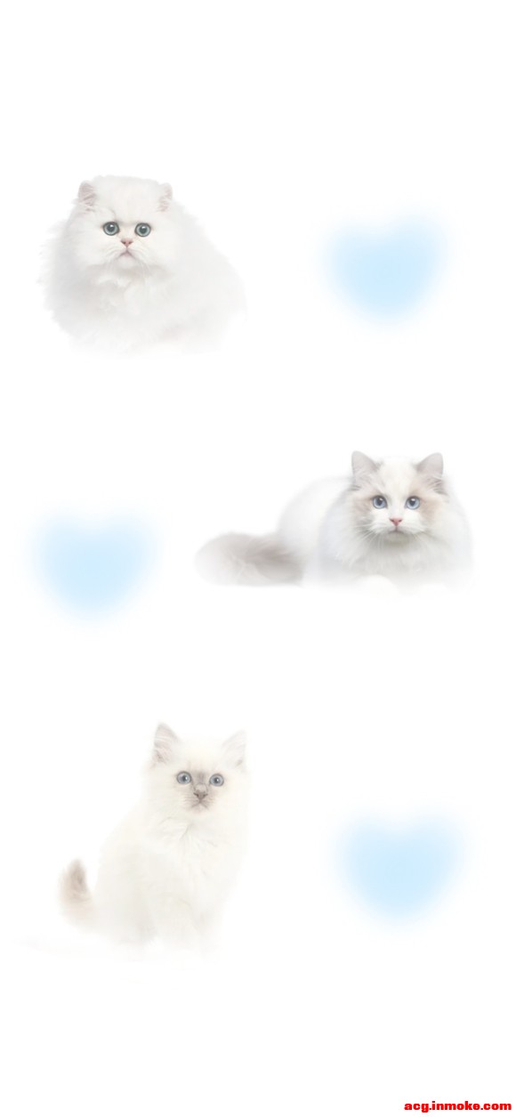 ����ֽ����ΪŬ������ˮ ���ڱ�����ǰ��-3.jpg