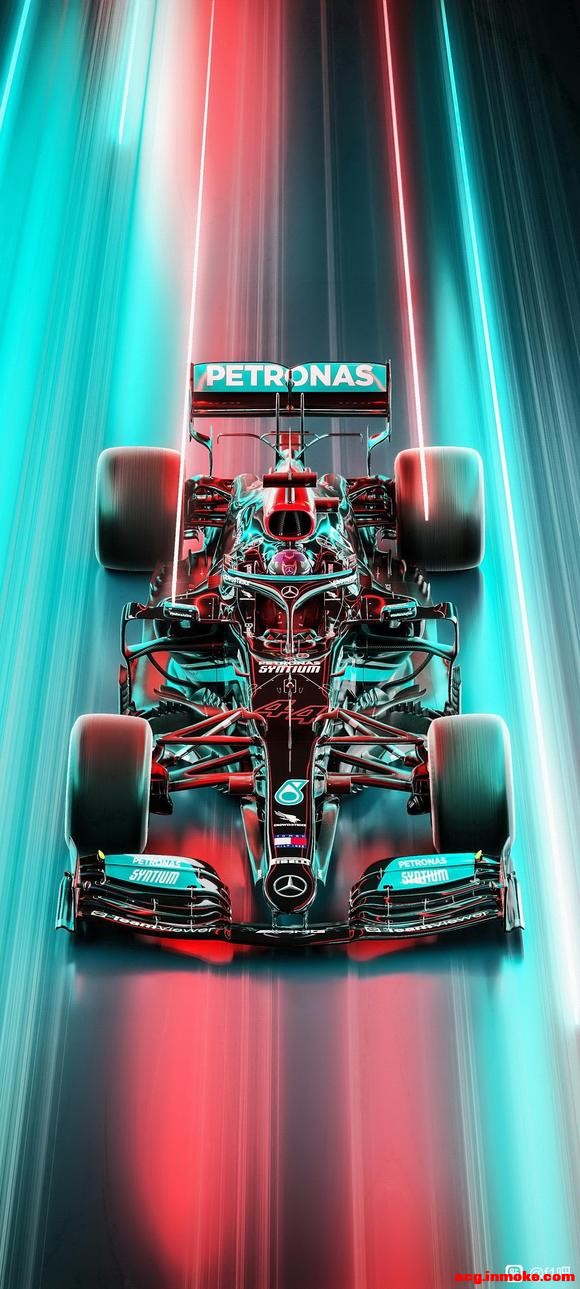 �ϸ��������ֽ