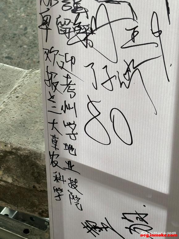 �Ѳݿ�Ժ������չ������