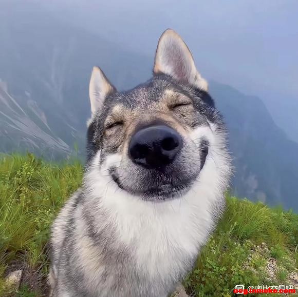 ������յ��������������Ʒ  ����(? ??_??)?