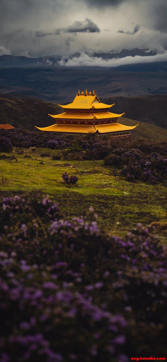 ��ֽ�Ƽ�����ʯɽ�� �ƽ��ݱ�ֽ-3.jpg