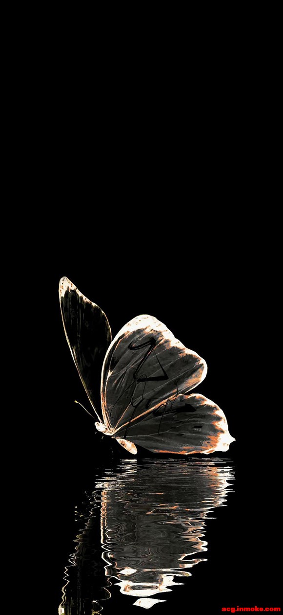 ����ֽ�����������Ҹ���Сè^ ?> ��? < ?^-1.jpg