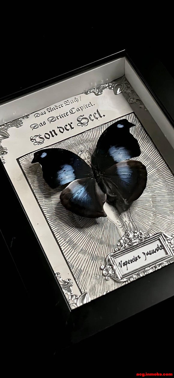 ����ֽ�����������Ҹ���Сè^ ?> ��? < ?^-2.jpg