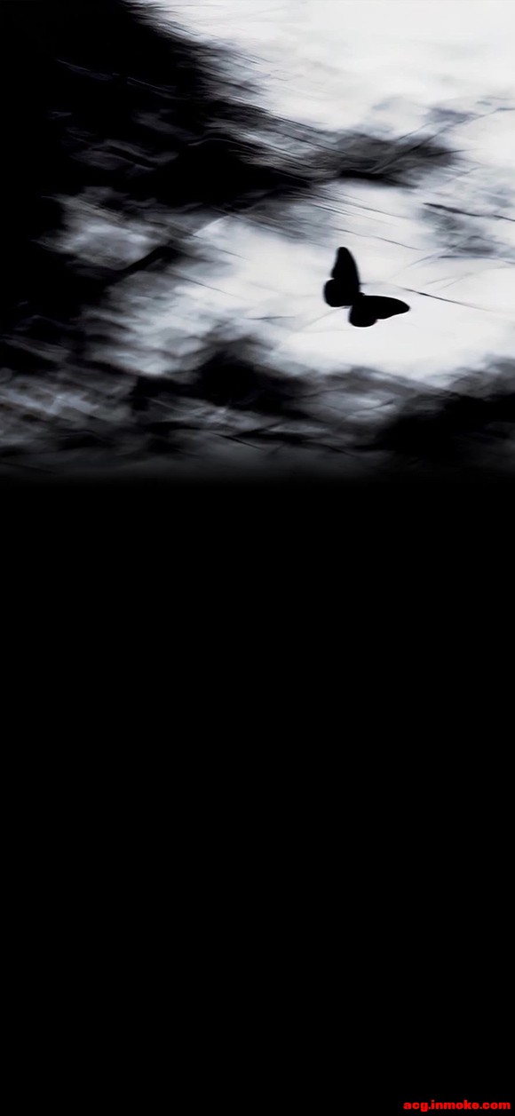 ����ֽ�����������Ҹ���Сè^ ?> ��? < ?^-3.jpg