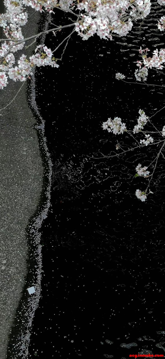 ����ֽ�����������Ҹ���Сè^ ?> ��? < ?^-1.jpg