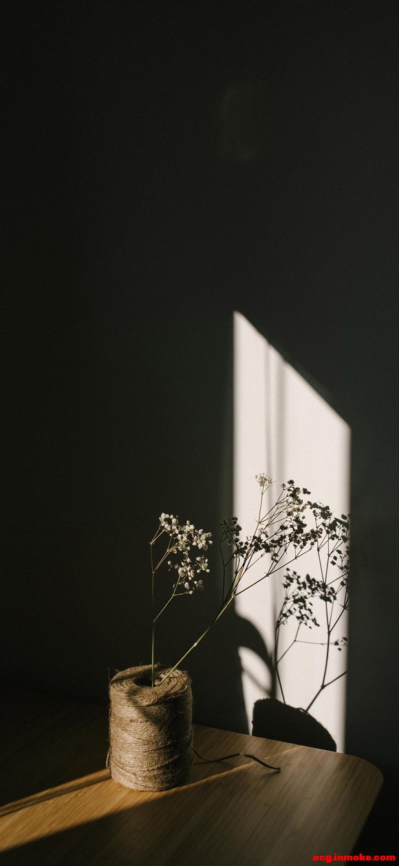 ����ֽ�����������Ҹ���Сè^ ?> ��? < ?^-1.jpg