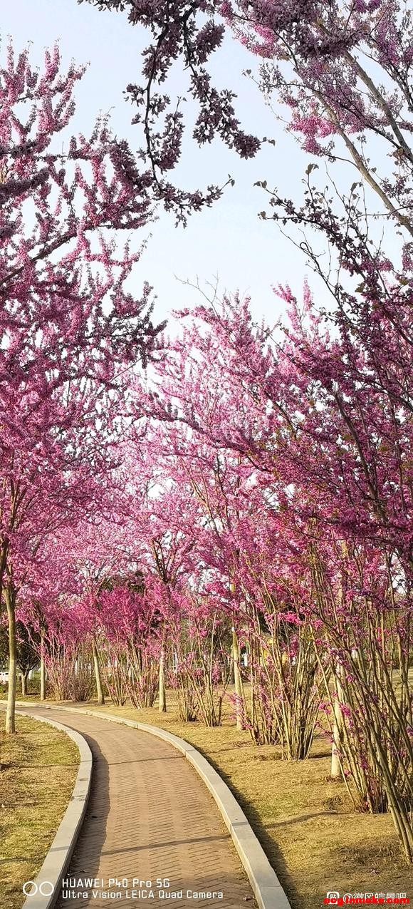 ��һ�Ͷ���  ����۹⳵����������-2.jpg