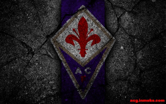 ���ӻա��ӻձ�ֽ