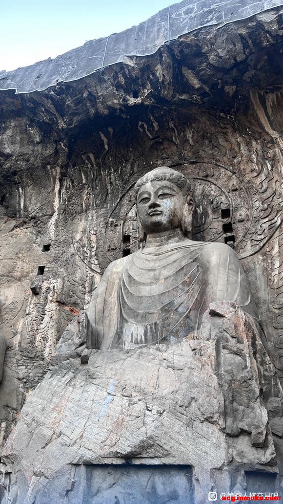 �¸��������δ�����