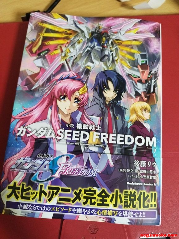 ��ת΢�������ߴ�seed freedom ���ٷ�С˵��ƪ�廭-1.jpg
