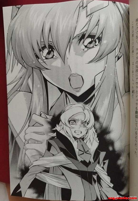 ��ת΢�������ߴ�seed freedom ���ٷ�С˵��ƪ�廭-4.jpg