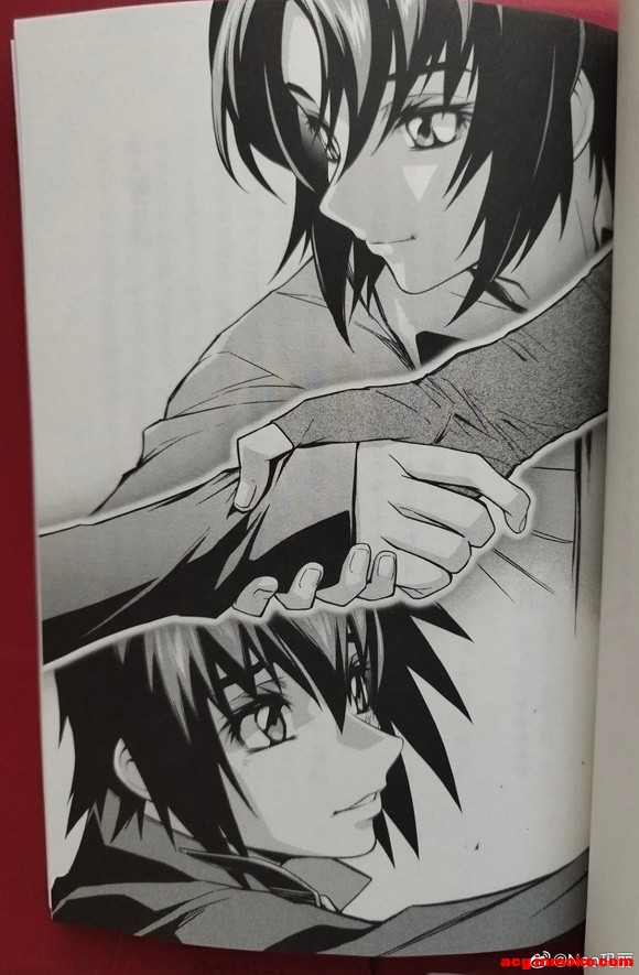 ��ת΢�������ߴ�seed freedom ���ٷ�С˵��ƪ�廭-5.jpg