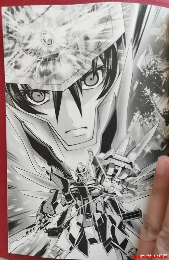 ��ת΢�������ߴ�seed freedom ���ٷ�С˵��ƪ�廭