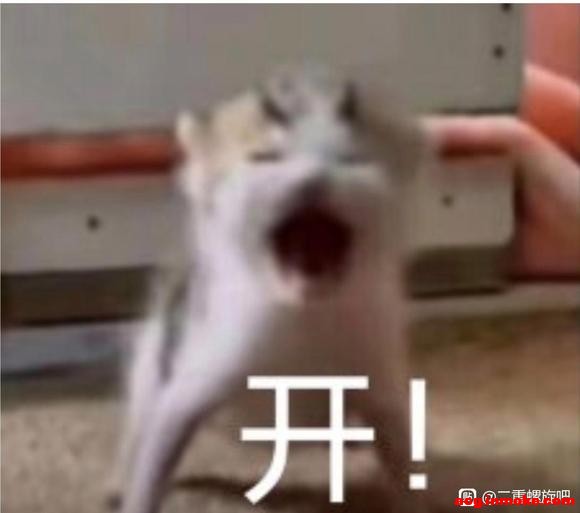 ��������û�и�ͷ��-9.jpg