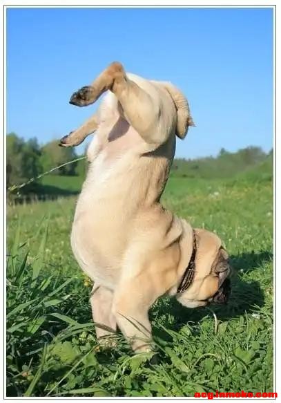 ��Ʒ�Ժ��Ǳ�ȼ��