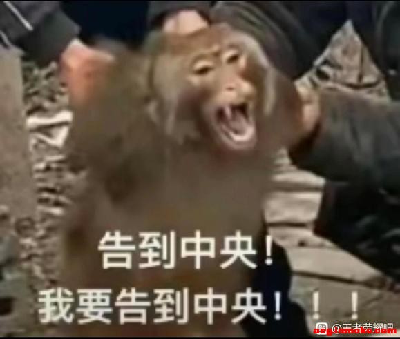 ��һֻcos����jk������