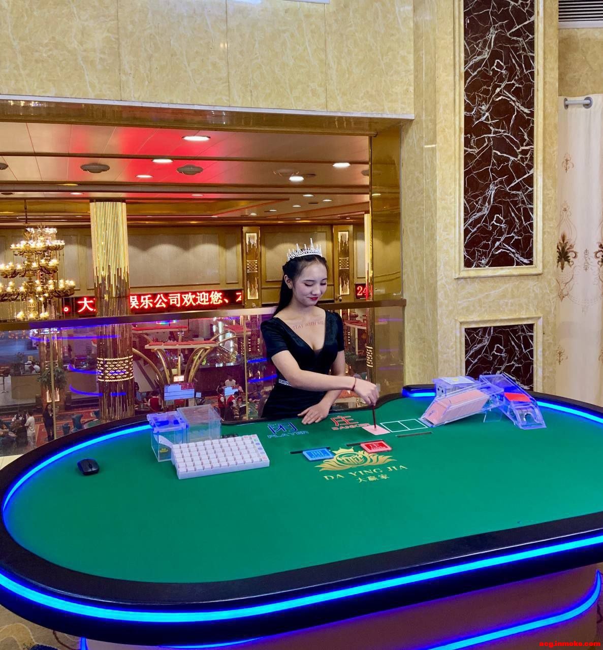 ��ʢ��Ϸע���Ա�˺ŵ�¼��ַxs10276.com