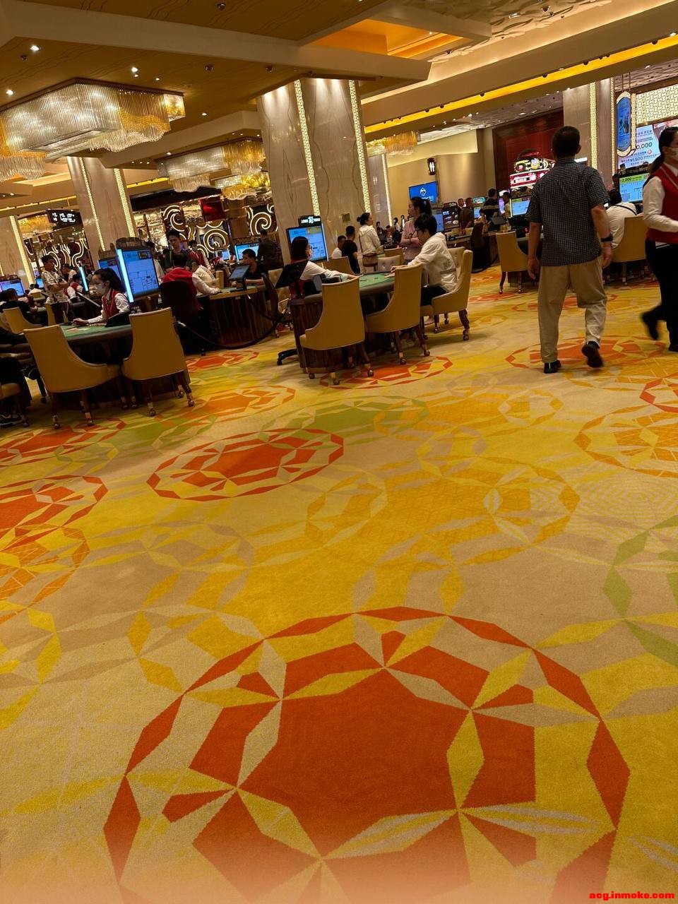 ��˾ע���Աע����ַxs10276.com