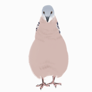 �ÿ��İ���չ?????????