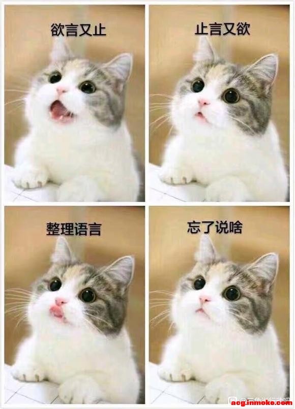 �����һ�����ڿɴ������ɰ�����ô����