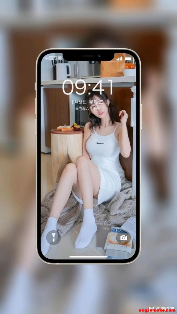 �ֻ���ֽ ��ԭͼdd-2.jpg