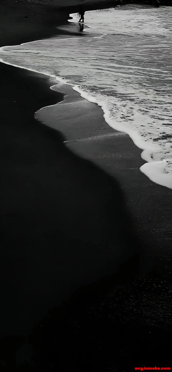 ��ֽ��ins�磬����ϵ