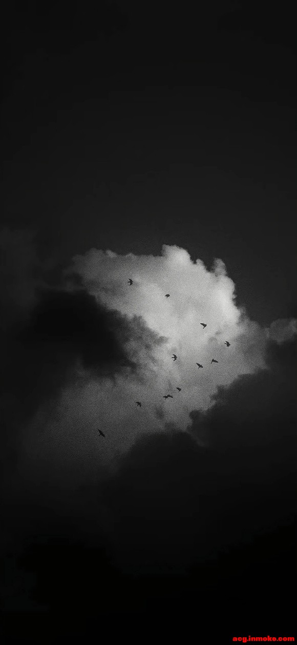 ��ֽ��ins�磬����ϵ