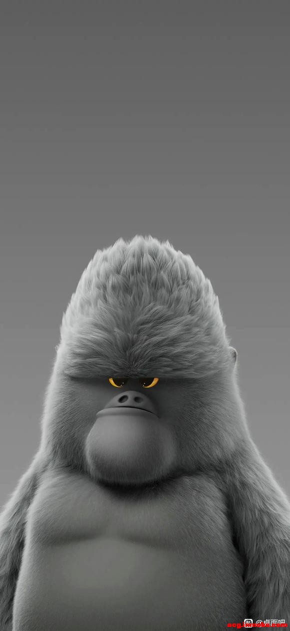 ѡһ������Ϊ�ÿ���8K��ֽ