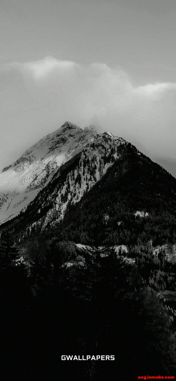 �߼�����ϵ�б�ֽ | ĺ��-2.jpg