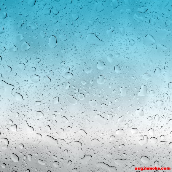 �߼�����ϵ�б�ֽ | ĺ��-3.jpg